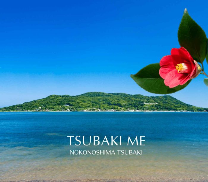 <TSUBAKIME/TSUBAKI我>能古岛产山茶油TSUBAKIME POPUP
  
  